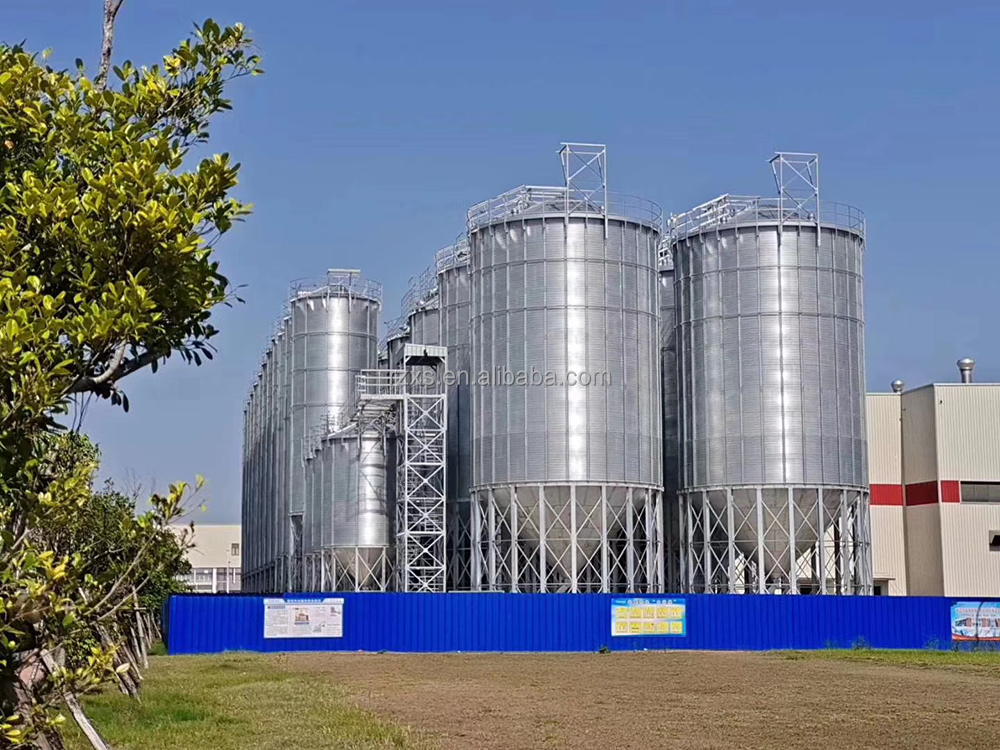 Great volume popular TCK series hopper bottom galvanized steel rice paddy storage silo