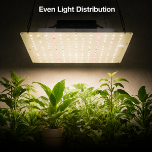 ไฟปลูกต้นไม้แบบ LED 70W สเปกตรัมเต็มรูปแบบ สำหรับเพาะเมล็ดในร่มและเร่งการเจริญเติบโตของต้นกล้า - Product Image 1