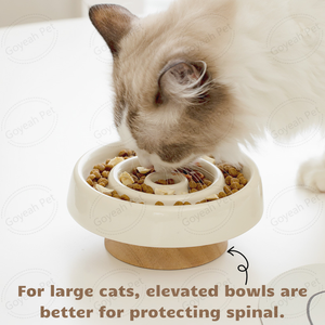 Ciotole per gatti in ceramica rialzata per alimentazione lenta con baffi poco profondi piatto per animali domestici senza Stress per gattini - Product Image 5