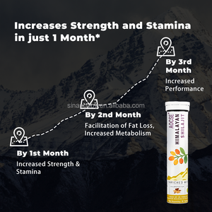 Comprimés effervescents de Shilajit de l'<span class=keywords><strong>Himalaya</strong></span> de haute qualité avec logo personnalisé, Ashwagandha, sans gluten, complément naturel pour stimuler l'endurance - Product Image 2