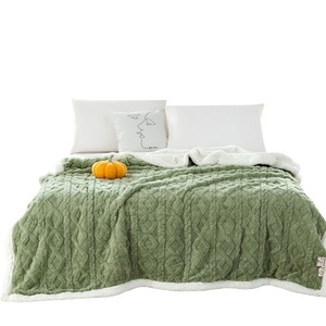 Chăn lông cừu hai lớp Taffel dùng trong nhà, màu trơn, in họa tiết Nap Falai, dày dặn, dùng làm khăn trải giường cho phát sóng trực tiếp - Product Image 5