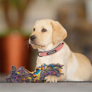 Moda logotipo personalizado nombre perro Collar ajustable alta calidad mascota perro Collar doble capa PU cuero mascota perro collares - Product Image 5