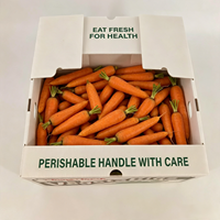 Boîte en plastique ondulé pliable écologique de 3 mm d'épaisseur, grande capacité pour le transport logistique de légumes et de fruits en ferme
