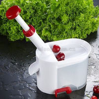 Handmatige kersen- en olijfpitter, plastic fruit- en groentegereedschap, creatief keukengeschenk, promotionele fabrikant