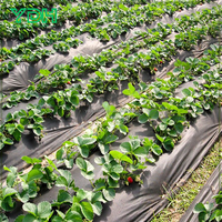 Contrôle des mauvaises herbes tissu non tissé PP paysage tapis Agriculture couvre-sol rouleaux résistant aux UV respirant