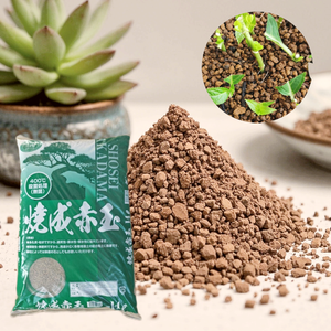 Fournitures de jardin japonais <span class=keywords><strong>Akadama</strong></span> Bonsaï <span class=keywords><strong>Terre</strong></span> d'argile volcanique riche en <span class=keywords><strong>terre</strong></span> boule rouge - Product Image 1