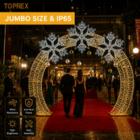 Dekorasi Festival Bioskop Toprex, Dekorasi Lanskap IP65, Gerbang Masuk Pesta Besar, Lengkungan Lampu LED Jumbo Bentuk Kepingan Salju Natal