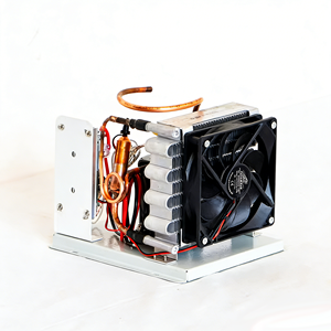 Unité de <span class=keywords><strong>condensation</strong></span> à mini-compresseur ST19C DC 12V/24V/48V pour congélateur portable, petit <span class=keywords><strong>climatiseur</strong></span>, système de refroidissement personnalisable - Product Image 1