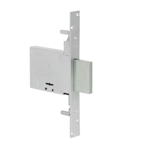 CARTE DOUBLE SERRURE POUR LES GRILLES ART. 57013 CISA E70-boîte mm 123x82 - Product Image 2
