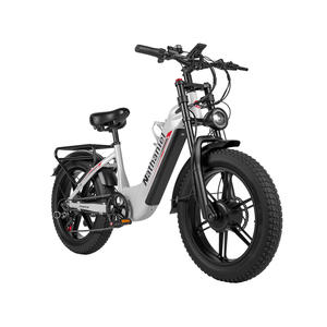 Bicicleta Eléctrica Deportiva de Montaña con Doble Motor, Neumáticos Gruesos 20*4, 7 Velocidades, Amortiguadores Dobles y Frenos Hidráulicos, Entrega en un Solo Lugar en la UE - Product Image 3