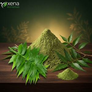 Fabricante de Extracto de Neem, Extracto de Hoja de Neem en Polvo, Proveedor Mayorista a Granel - Product Image 1