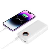 Powerbank Portabel Pengisi Daya Cepat Dual USB 20000mAh untuk Bisnis, Laris Terjual 2026