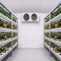 Ferme verticale hydroponique en conteneur aéroponique pour la culture de laitue, champignons et safran, avec système de contrôle climatique