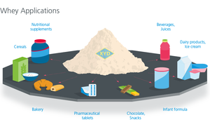Polvo de proteína de suero al por mayor, suplemento de nutrición deportiva, aumento de peso, ganancia de masa muscular, polvo de proteína preentrenamiento - Product Image 3