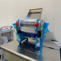 Machine à pâte électrique domestique pour petits raviolis, coupe-pâte 9g, machine à faire des nouilles