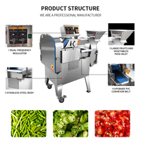 Nieuwste automatische commerciële groenteverwerkingsmachine Fruit snijmachine Snijmachine Motor Groentesnijmachine