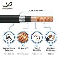 Cable de Alimentación Flexible Cu/XLPE/PVC 0.6/1kV Grado C, Retardante de Llama, Aislamiento XLPE, Clase 5, Cable Eléctrico de Cobre