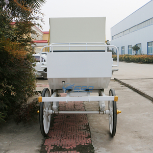 Calèche royale électrique avec auvent, calèche royale de tourisme, chariot à chevaux, produit élégant de haute qualité - Product Image 2