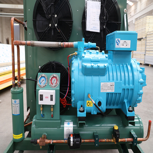 Tùy chỉnh 3HP 5HP 15HP lạnh lưu trữ ngưng tụ đơn vị 380V Tủ đông lạnh ngưng tụ đơn vị - Product Image 2