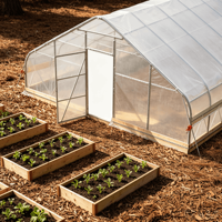 Serre de jardin moderne 25x100 pieds, tente de culture préfabriquée avec structure en acier galvanisé, alternative imperméable pour la culture à domicile en arrière-cour, facilement assemblable