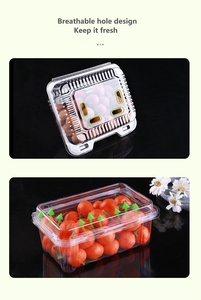 Bán Buôn Hiện Đại Sang Trọng Rõ Ràng Nhựa Dập Nổi Dâu Tây Vỏ Sò Container Cấp Thực Phẩm Lưu Trữ Vật Nuôi Hộp Bé Thực Phẩm Bánh Hamburger - Product Image 6