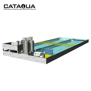 CATAQUA滚道罐RAS再循环水产养殖设备龙鱼养殖场水族馆系统