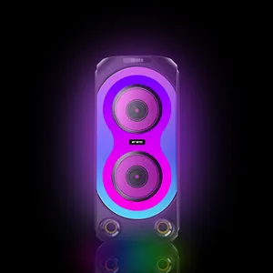 Phimax 더블 6.5 '인치 스피커 야외 300 와트 jbl-플래시 라이트베이스 서브 우퍼 가라오케 dj 오디오 파티 스피커 박스