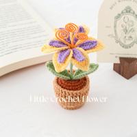 Décoration de table de Noël en crochet fait main : champignon, narcisse en pot – Cadeau de fêtes