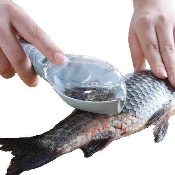 Removedor rápido de escamas de pescado, con tapa, pelador de pescado
