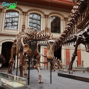 Gecai Museum Modèle de <span class=keywords><strong>squelette</strong></span> de dinosaure grandeur nature personnalisé T-rex fossile - Product Image 6