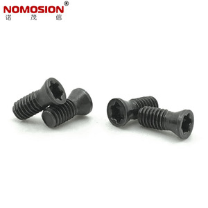 Tornillo de cabeza Torx NOMOSION M2.5*6-D3.3 para portaherramientas CNC, estándar GB - Product Image 1