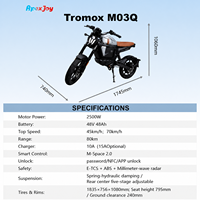 Moto électrique ApexJoy Tromox M03Q 2500W 45km/h 70km/h Vitesses commutables Commutation entre 45km/h et 70km/h pour trajets urbains Phare rond Vente en gros pour revendeurs