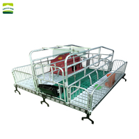 Lit de gestation galvanisé pour truies, boxes de mise bas pour porcs, sols de parcs porcins, équipement d'élevage pour truies à vendre