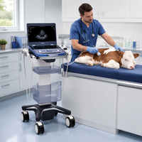 Système d'échographie vétérinaire Mindray Vetus E7 avec écran tactile HD et fonctions d'imagerie avancées pour l'équipement des cliniques vétérinaires