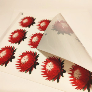 YOUYU Láminas de Azúcar Comestibles Ecológicas 100% Vegetarianas Tamaño A4 1 Pieza <span class=keywords><strong>para</strong></span> Decoración de Pasteles y Postres - Product Image 5