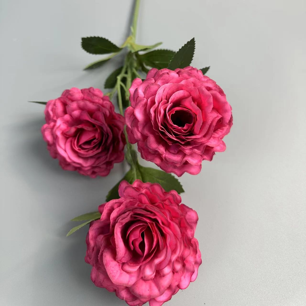 Rose profonde rouge