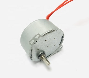 Motore Sincrono AC 24V TH-50-591/AC/24V/0.8-1RPM/CW/4W/F, Doppio Cavo Rosso ad Alta Temperatura 24MM - Product Image 2