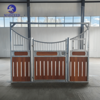 Box de Luxe pour Chevaux de Style Européen, Systèmes Modulaires de Stalles en Acier Galvanisé sur Mesure pour Centres Équestres d'Élite