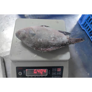 Tilapia Congelada para Contratos a Largo Plazo |   Calidad <span class=keywords><strong>de</strong></span> Exportación |   Suministro Confiable al por Mayor - Product Image 3