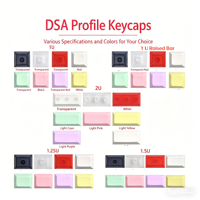 Fast Delivery DSA Blank Keycap PBT Mechanical Keyboard Multi Color Keycaps 1U/1.25U/1.5U/2U Keycap