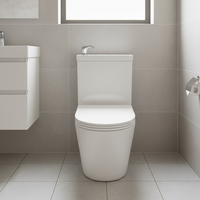 Ensemble WC et lavabo combiné 2-en-1 en céramique avec siphon en P intégré et économie d'eau