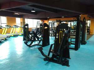 Entraîneur de rangée verticale ASJ-S805 2025-Renforcer les muscles du dos, équipement de fitness professionnel, outil d'entraînement efficace - Product Image 3