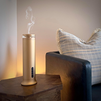 Diffuseur de parfum de table de haute qualité 100 ml Diffuseur d'huiles essentielles en aluminium avec lumière ambiante