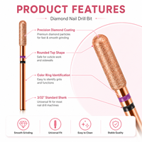 Kit de fraises à ongles diamantées à double cannelure en or rose avec logo personnalisé pour ponceuse à ongles électrique, pour ongles en acrylique et gel, usage professionnel et domestique, OEM ODM