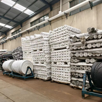 Tissu Brocart Imprimé Tissé SPH à Prix Usine, 100% Polyester, Résistant à l'Abrasion, Anti-Plis, Anti-Bouloches, 90 GSM, Poids Moyen