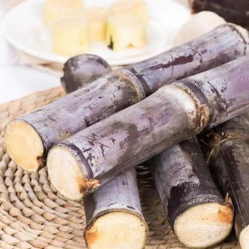 ISO and HACCP high quality sugarcane sales