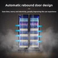 Réfrigérateur à boissons avec dégivrage automatique, porte vitrée, double porte, pour bar, restaurant, café
