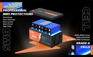 Litime12v 300ah chu kỳ sâu Pin LiFePO4 Lithium Ion gói cho năng lượng mặt trời RV cắm trại 10 năm tuổi thọ - Product Image 2