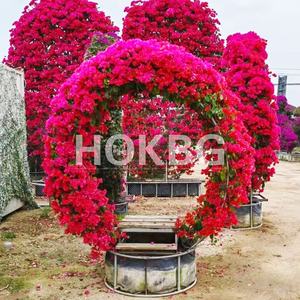 HOKBG Vente en gros extérieur ferme 45 50 60 200 gallons grand sac de jardinière noir tissé en PP sac de culture de jardin pour <span class=keywords><strong>espalier</strong></span>-bougainvilliers - Product Image 3