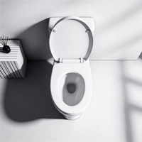WC en céramique européen deux pièces avec siphon en P, double chasse, sans bride, à décharge directe